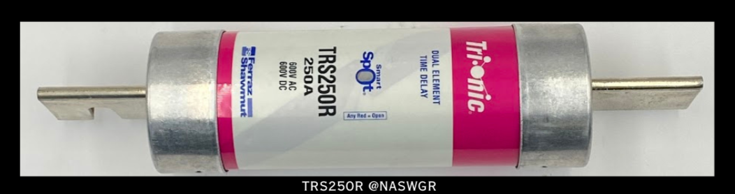 FERRAZ SHAWMUT TRS250R Fuse - 250A/600V