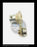 Westinghouse DS-206 (M) Breaker Crank Kit (Included are Crank Arm with Roller, Special Bolt, and Elastic Stop Nut) - P/N: 3838A95G01