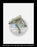 Westinghouse DS-206 (M) Breaker Trip Shaft Kit (Includes Trip Shaft Lever, Trip Shaft, and Trip Shaft Return Spring) - P/N: 1A33567G01