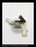 Westinghouse DS-206 (M) Breaker Trip Shaft Kit (Includes Trip Shaft Lever, Trip Shaft, and Trip Shaft Return Spring) - P/N: 1A33567G01