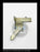 Westinghouse DS-206 (M) Breaker Trip Shaft Lever - P/N: 437B381H01