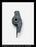 Westinghouse DS-206 (E) Breaker Mechanism Spring Release Latch (With Bearings) - P/N: 795A855G01