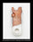 General Electric AK-2A-50 Circuit Breaker (M) Breaker Stationary Main Contact - P/N: 293B221G1
