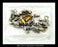 ABB FT-14, FT4A14T06CN4263 Flexitest Test Switch - 14 Pole - Unused