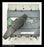 Merlin Gerin Interpact INS400 Switch-Disconnector - 400 Amp