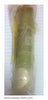 122050-R4 ~ S&C 122050-R4 Fuse