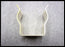 GE 188A5534P1 Limitamp IC302 / IC2814 Fuse Clip