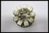 Westinghouse DH Finger Cluster for 600A frame breaker