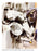 VVC-13.8-750-1L , GE VVC-13.8-750-1L Circuit Breaker , 2500 amp