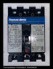 Thomas & Betts FS320060A Molded Case Circuit Breaker ~ 60 Amp