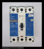 Westinghouse FD3100 Molded Case Circuit Breaker - 100 Amp