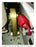 General Electric AKR-7D-30H Circuit Breaker (E/O,D/O) - 800 Amp