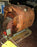 Westinghouse 7881A01G03 CT