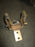 S&C 87509R2-S106  SM-5 Fuse Holder