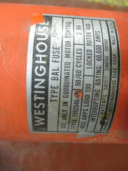 1392546 - Westinghouse Fuse
